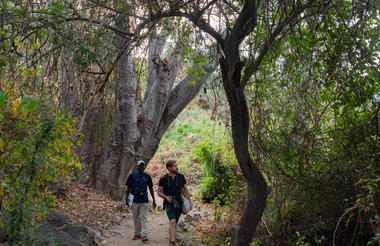 Nature Trail