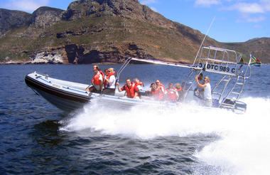 Cape Point Power Boat Excursion