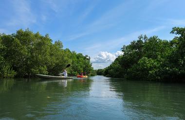 Kayak the Msangazi