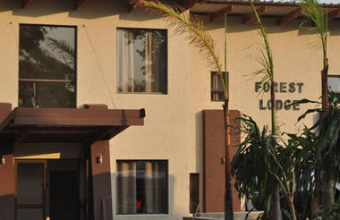 Forest Lodge