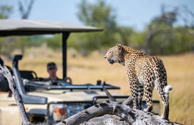 Game Drive