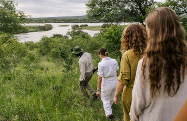 Walking Safari