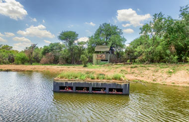 Terrapin Hide