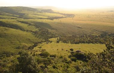 The vast Mara plains