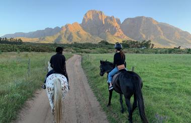 Horse Riding