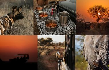 Photographic EcoSafari