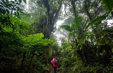 Santa Elena Reserve Tour