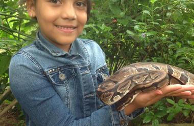 Have your picture taken with a snake!