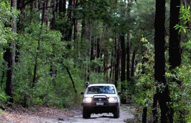 4WD self driving on Fraser Island