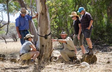 Settling a camera trap to monitor species on Arkaba