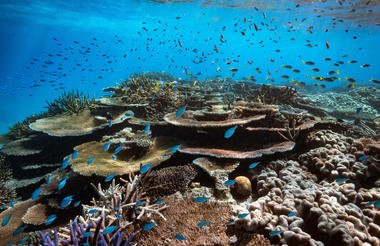 Great Barrier Reef