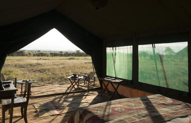 Room with a View