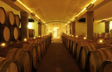 Lanzerac Wine Cellar 