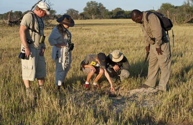 Hwange Walking Safari