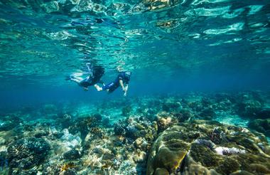 Azura Benguerra Island - Snorkelling