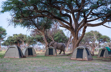 Unforgettable Bush Ways camping moments