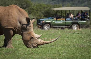 Game Drive Experience