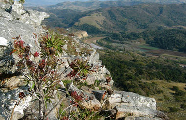 Cliff View