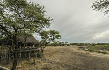 Onguma Tree Top
