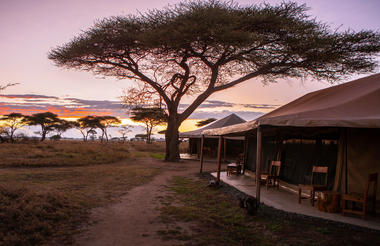 Main tent