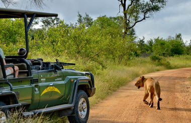 Kruger Safari Lodge