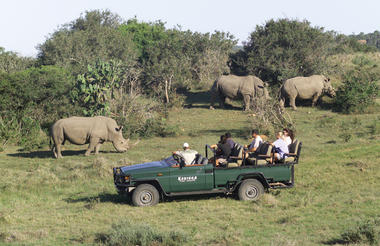Kariega rhino