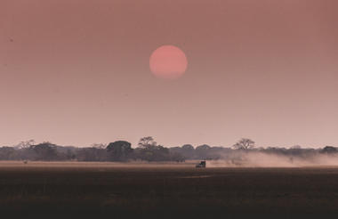 Wilderness Shumba