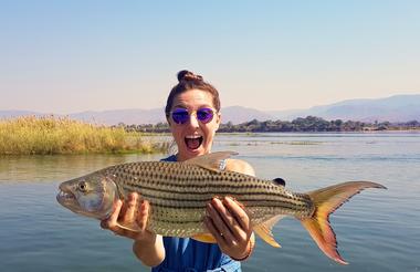 Famous Tiger Fish