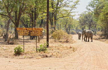 Wildlife Camp Zambia welcomes you!