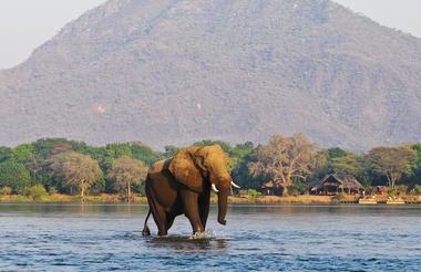 Chiawa Camp - voted Best Location in Zambia