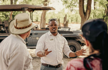 Wilderness Savuti