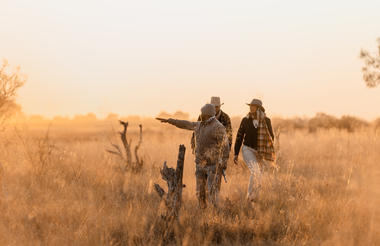 Wilderness Savuti