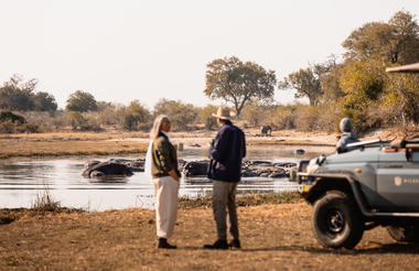 Wilderness Savuti