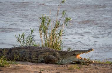 Lake Turkana Kenia