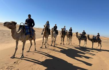 Camel Rides