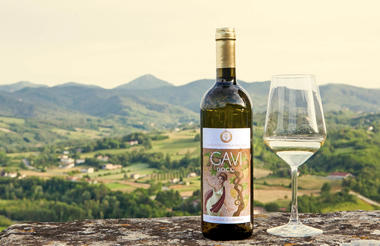 Gavi wine