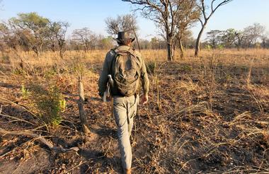 Nkonzi Bush Camp