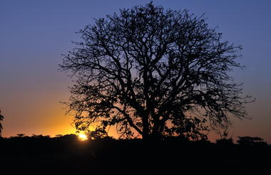Harare