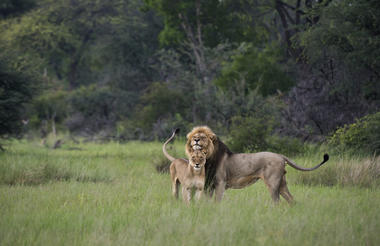 Hwange National Park