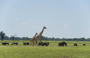 Hwange National Park