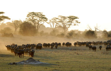 Hwange National Park
