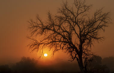 Kruger sunset