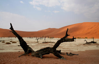 Sossusvlei/Dead Vlei