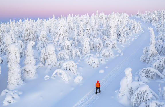 Northern Lights in Lapland