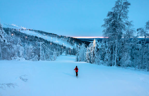 Northern Lights in Lapland