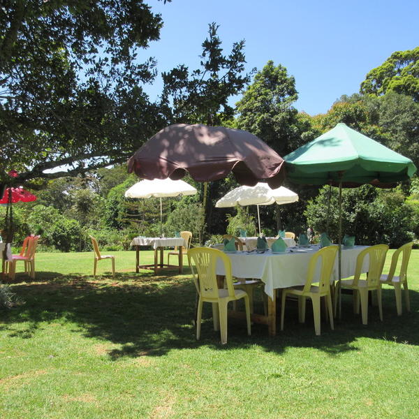 Kiambethu Teupplevelseimage - 0