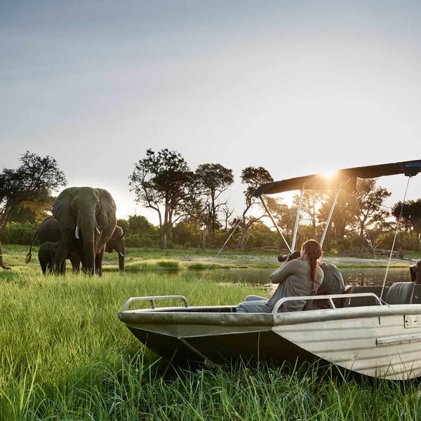 Chobe nationalparkimage - 1