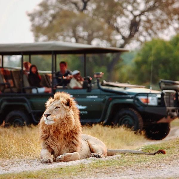 Kruger nationalparkimage - 1