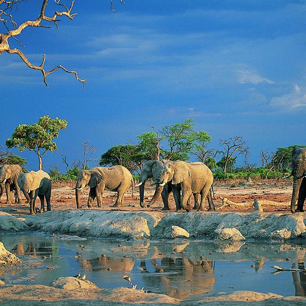 Mahango Naturreservatimage - 0