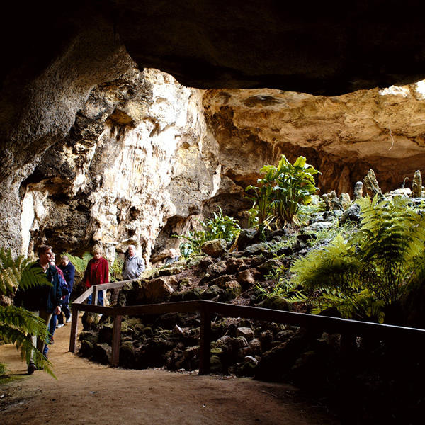 Naracoorteimage - 1